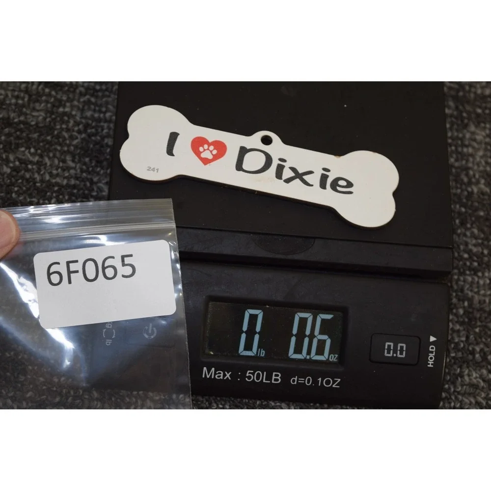 I love Dixie Doggy Bone Dog Collar Pet Refrigerator 5